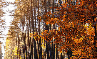 抖音自播间销量下滑，商家如何应对困境？