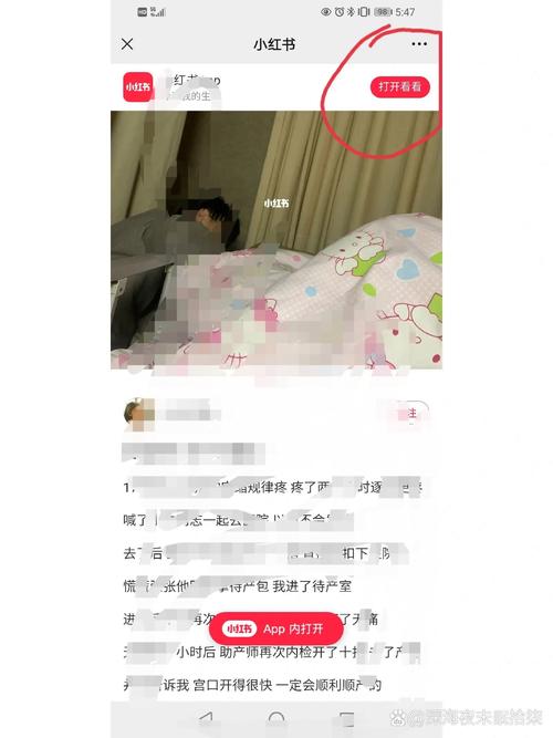 小红书网页版入口网址_电脑版小红书登录方法_小红书粉丝自动下单
